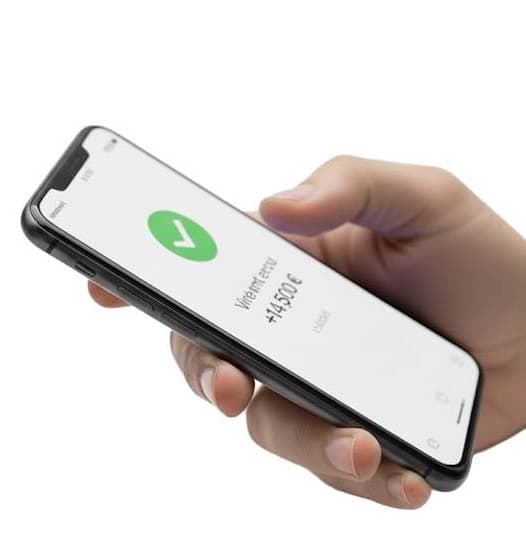 Paiement sécurisé en 24h